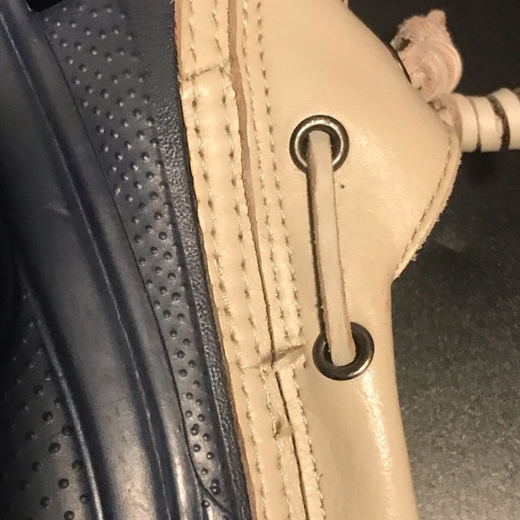 Croc Islanders - Picture 5 of 11